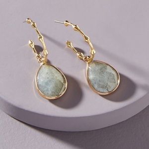 Anthropologie Tori Huggie earrings, NWT!